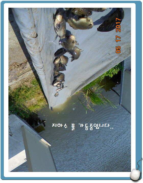 도심속의 작은 쉼터 화성 관리 낚시터입니다 (유료터정보 - 유료터점주조황)
