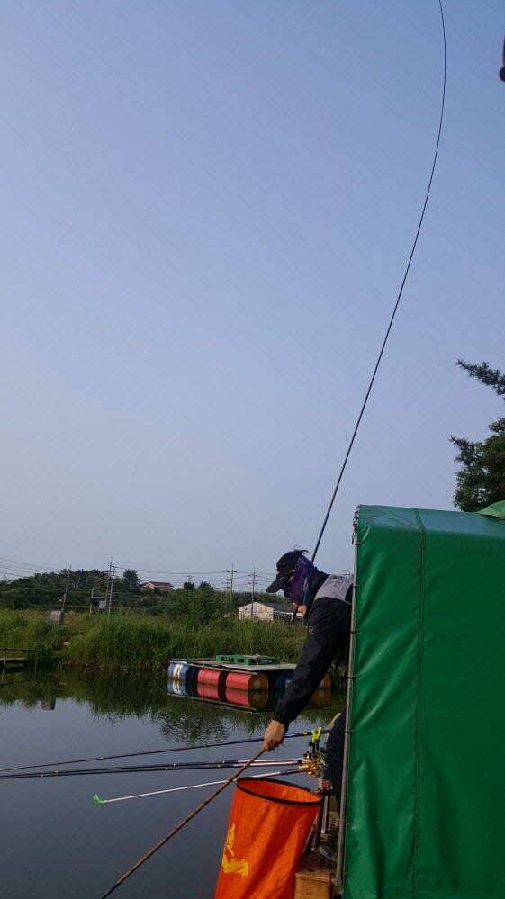 경주 동산낚시터 초보조사님이 대형사고를 (유료터정보 - 유료터점주조황)