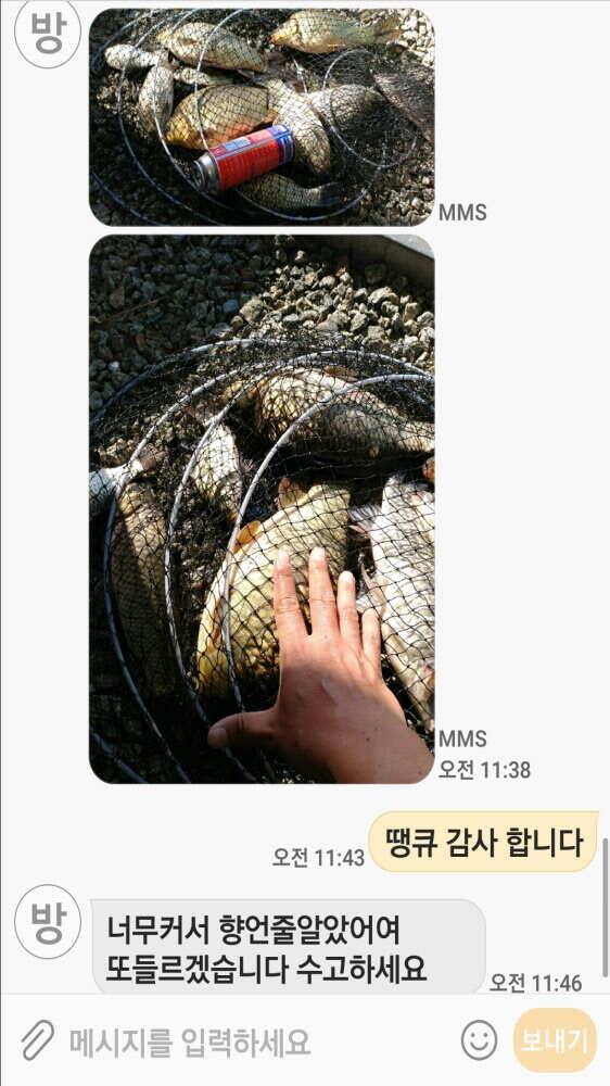10 월 25일 경기도 안성 거청낚시터 붕어조황 (유료터정보 - 유료터점주조황)