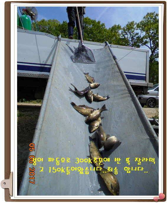 도심속으ㅟ 작은 쉼터 화성 관리 낚시터입니다이 밤도 즐겁게 (유료터정보 - 유료터점주조황)