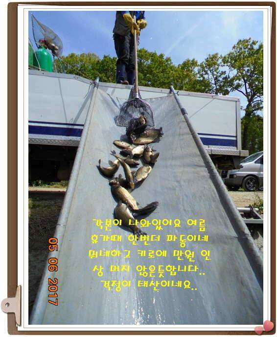 도심속으ㅟ 작은 쉼터 화성 관리 낚시터입니다이 밤도 즐겁게 (유료터정보 - 유료터점주조황)
