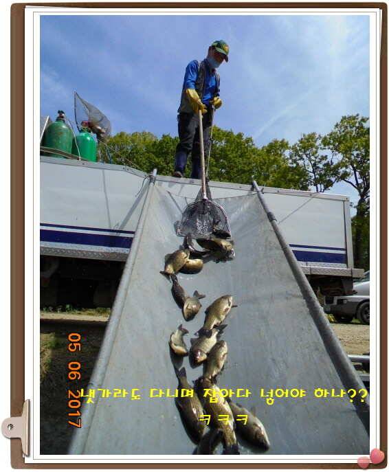도심속으ㅟ 작은 쉼터 화성 관리 낚시터입니다이 밤도 즐겁게 (유료터정보 - 유료터점주조황)