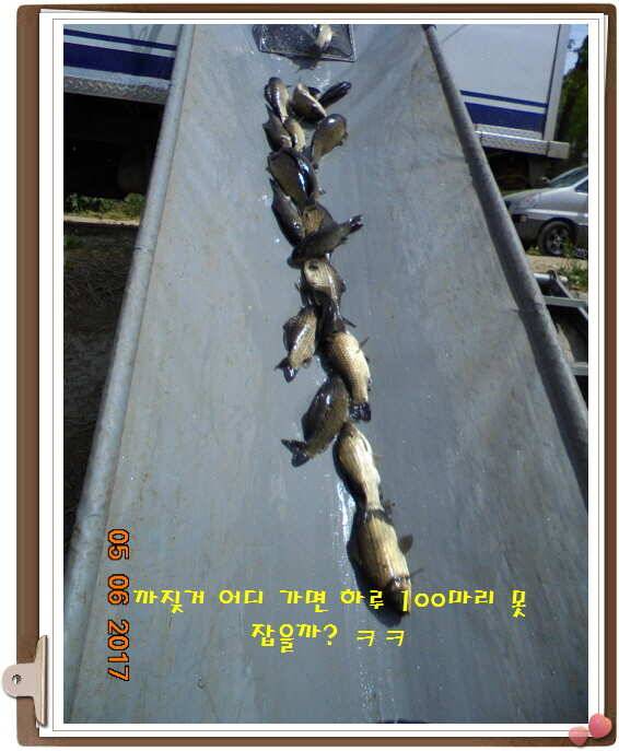 도심속으ㅟ 작은 쉼터 화성 관리 낚시터입니다이 밤도 즐겁게 (유료터정보 - 유료터점주조황)