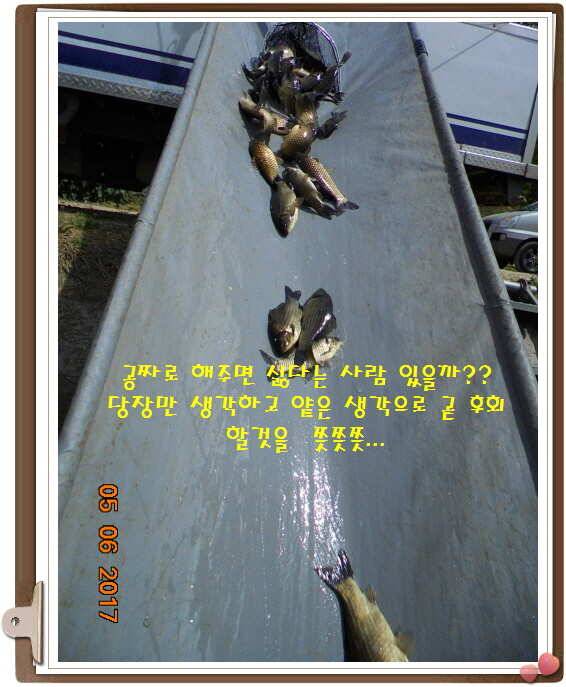 도심속으ㅟ 작은 쉼터 화성 관리 낚시터입니다이 밤도 즐겁게 (유료터정보 - 유료터점주조황)