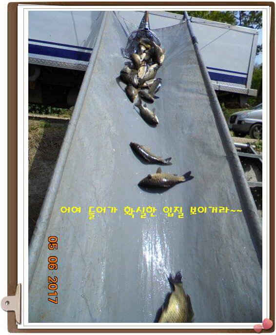도심속으ㅟ 작은 쉼터 화성 관리 낚시터입니다이 밤도 즐겁게 (유료터정보 - 유료터점주조황)