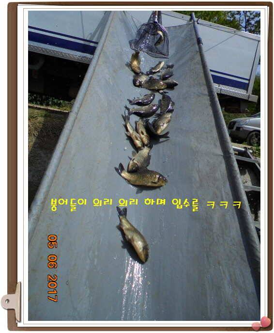 도심속으ㅟ 작은 쉼터 화성 관리 낚시터입니다이 밤도 즐겁게 (유료터정보 - 유료터점주조황)
