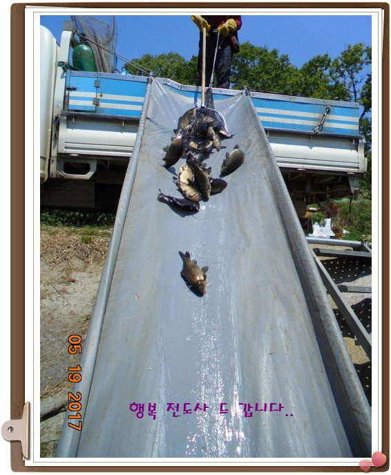 도심속의 작은 쉼터 화성 관리 낚시터입니다 (유료터정보 - 유료터점주조황)