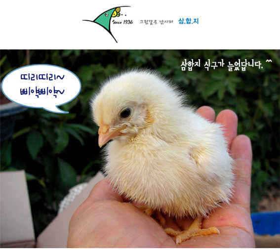 ■■ 삼합지 ■■ 입질이 너무해 (유료터정보 - 유료터점주조황)