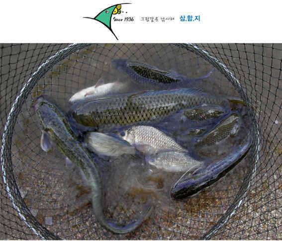■■ 삼합지 ■■ 입질이 너무해 (유료터정보 - 유료터점주조황)