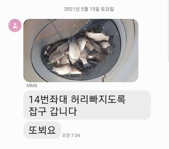 2021년 5월 셋째주 조황정보 용인 용담낚시터사암지 (유료터정보 - 유료터점주조황)