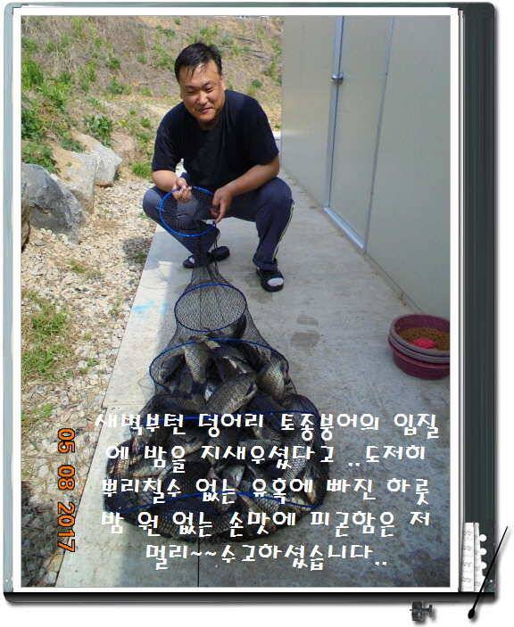 도심속의 작은 쉼터 화성 관리 낚시터입니다 (유료터정보 - 유료터점주조황)