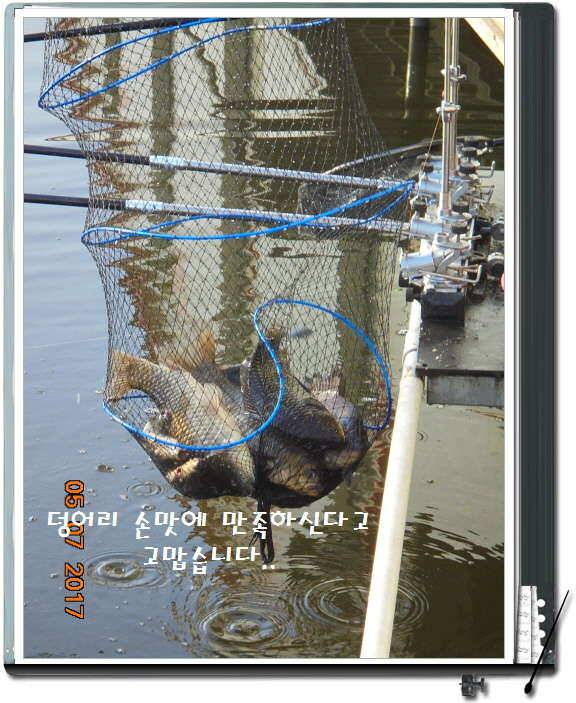 도심속의 작은 쉼터 화성 관리 낚시터입니다즐거움의 연속 (유료터정보 - 유료터점주조황)