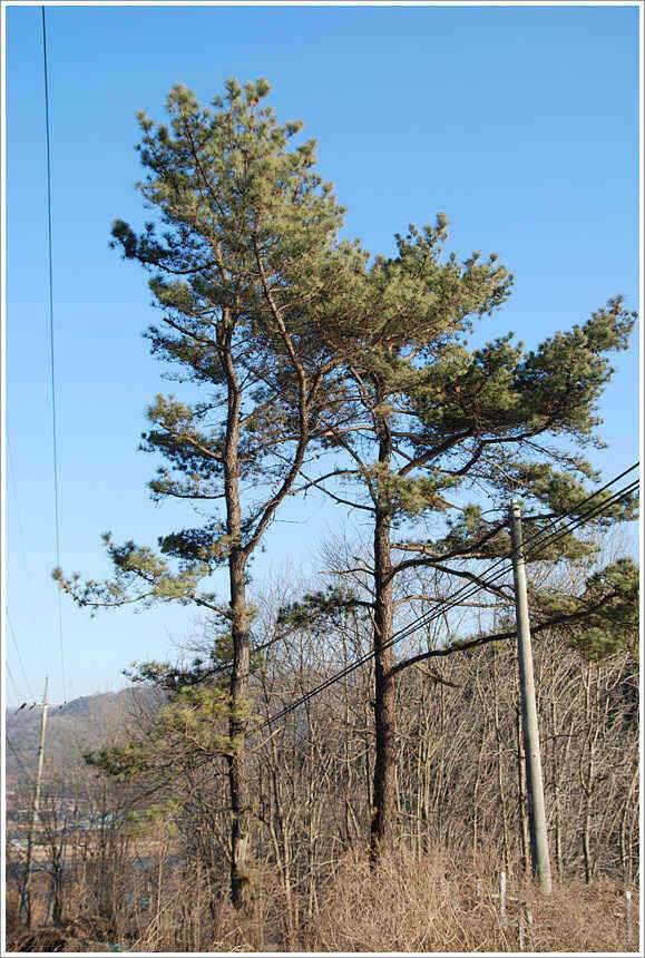 작은 창 넘어 (유료터정보 - 유료터점주조황)