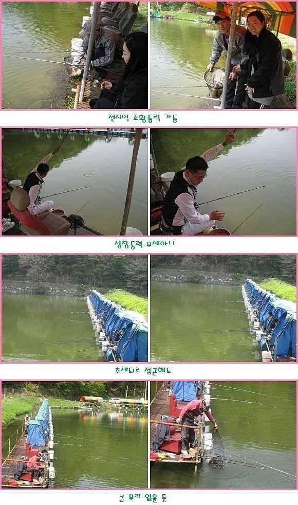 쏠릴때 몰빵 (유료터정보 - 유료터점주조황)