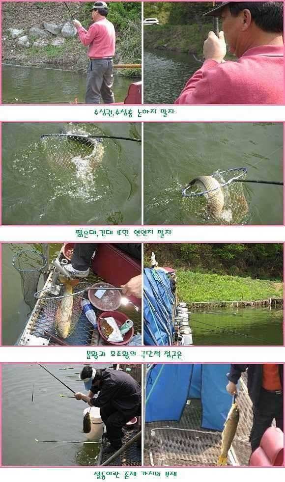 쏠릴때 몰빵 (유료터정보 - 유료터점주조황)