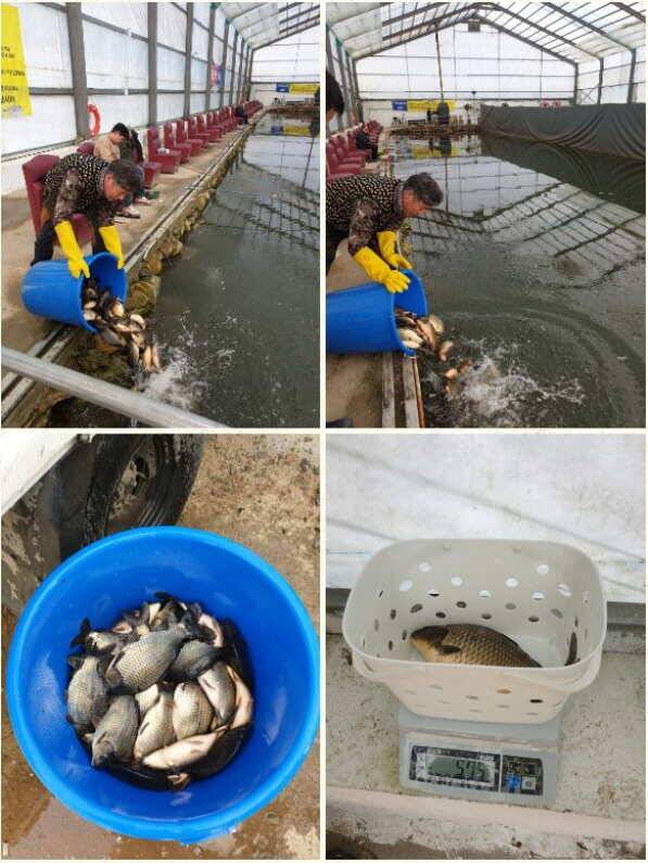 fish_pay_df536_080156_82690.jpg