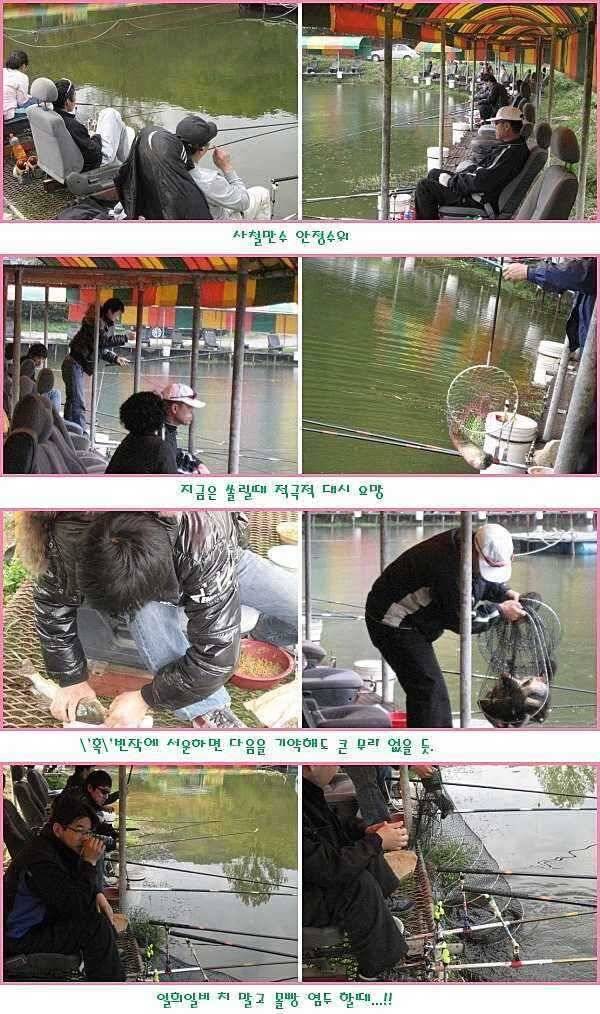쏠릴때 몰빵 (유료터정보 - 유료터점주조황)