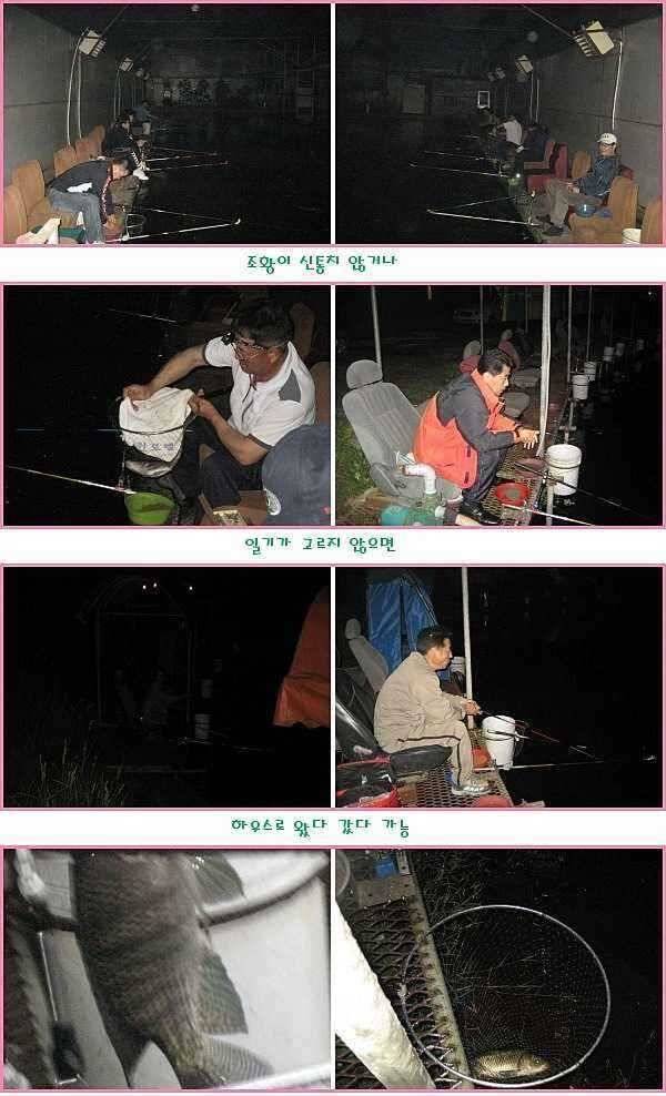 쏠릴때 몰빵 (유료터정보 - 유료터점주조황)