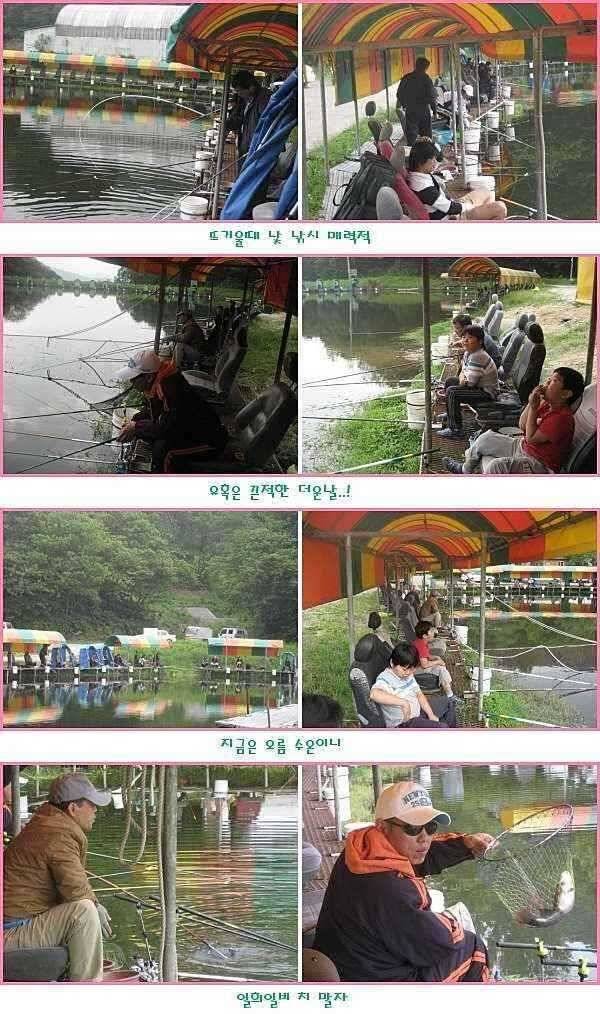 그냥 몇방 물려 주지 (유료터정보 - 유료터점주조황)