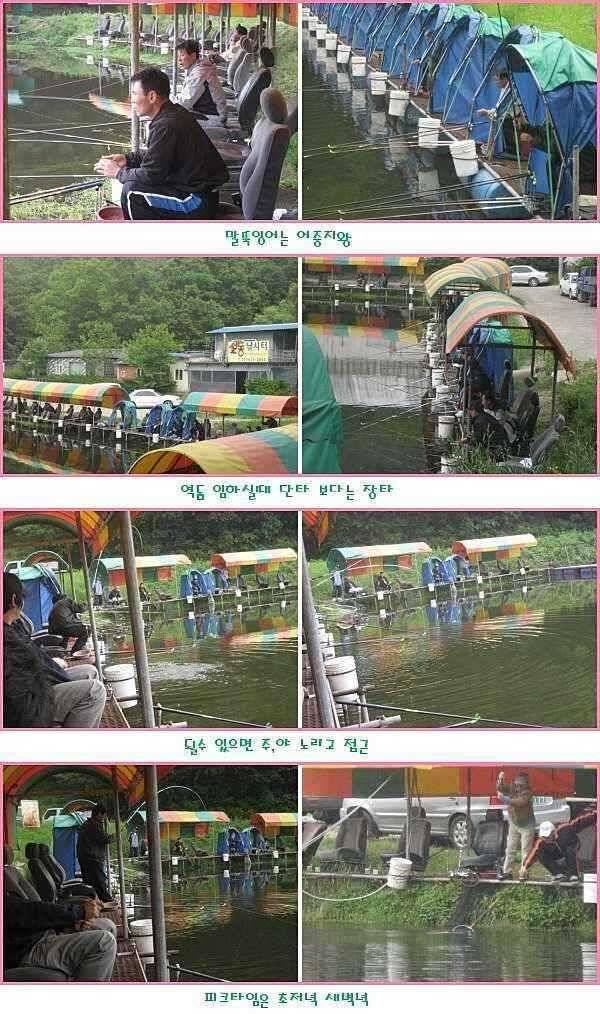 그냥 몇방 물려 주지 (유료터정보 - 유료터점주조황)