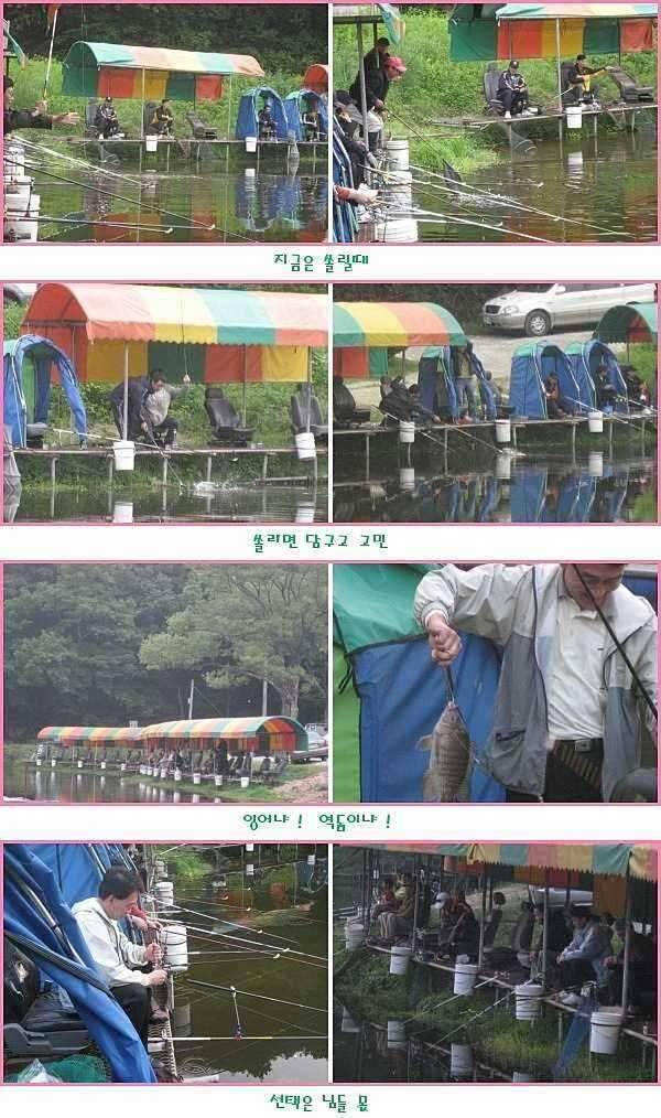 그냥 몇방 물려 주지 (유료터정보 - 유료터점주조황)