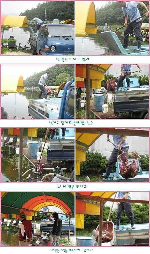 순풍에 돛 달다 (유료터정보 - 유료터점주조황)