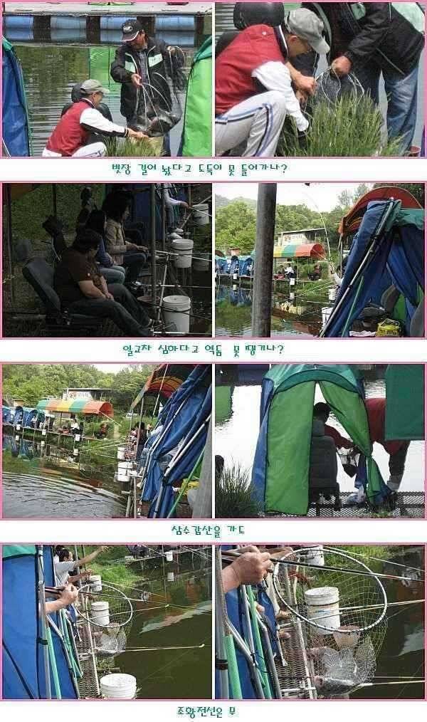 순풍에 돛 달다 (유료터정보 - 유료터점주조황)