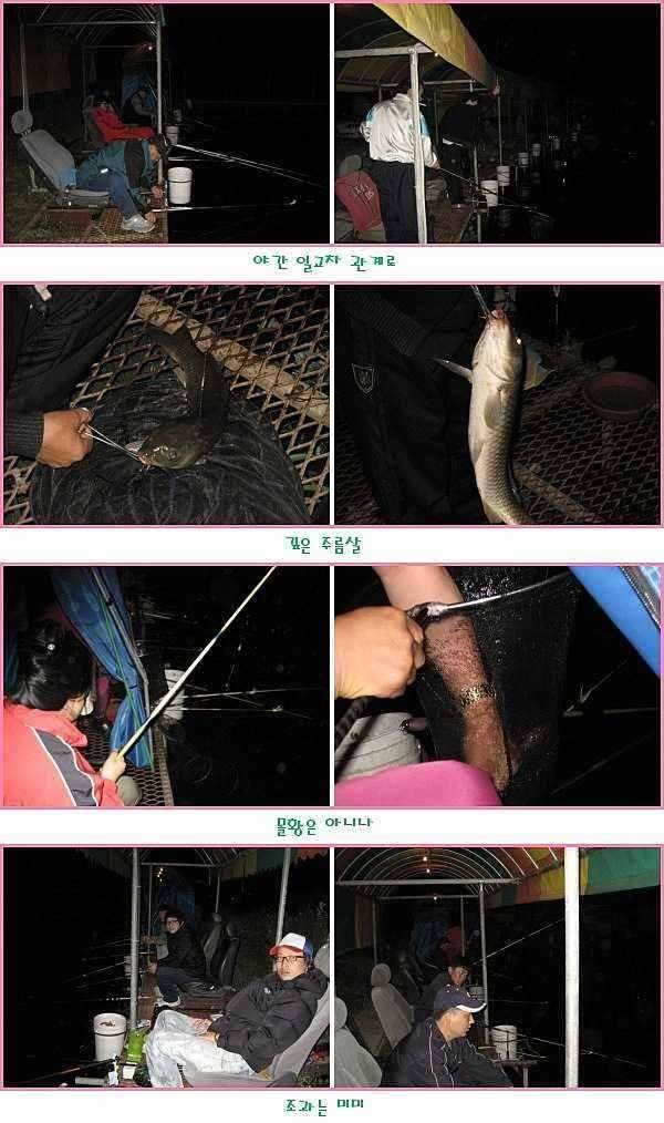 순풍에 돛 달다 (유료터정보 - 유료터점주조황)