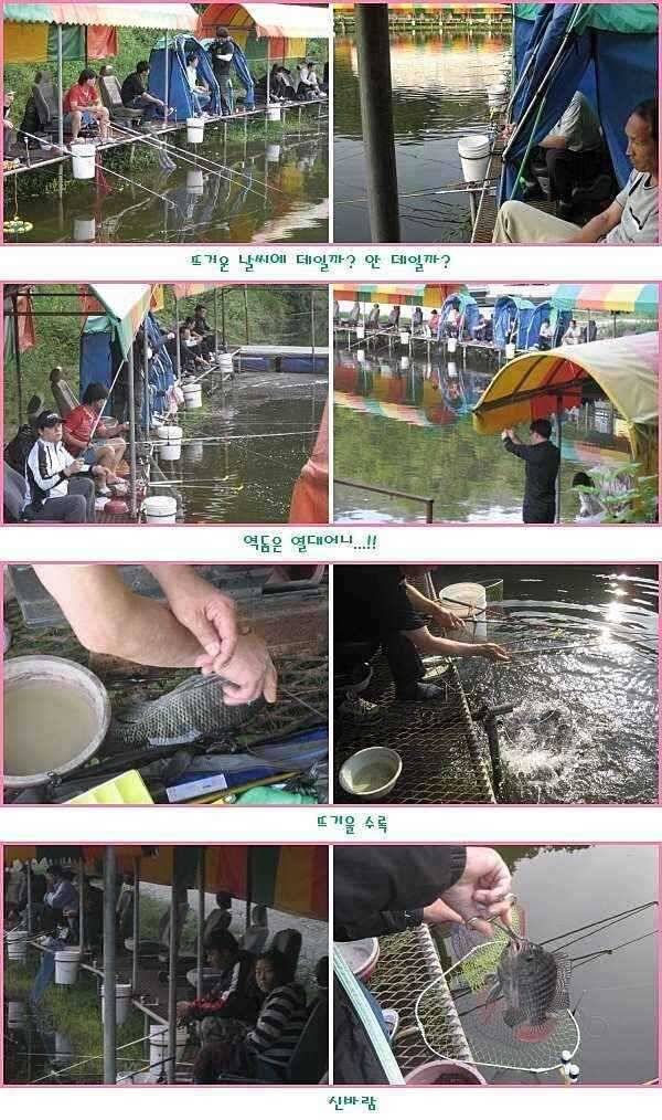 순풍에 돛 달다 (유료터정보 - 유료터점주조황)