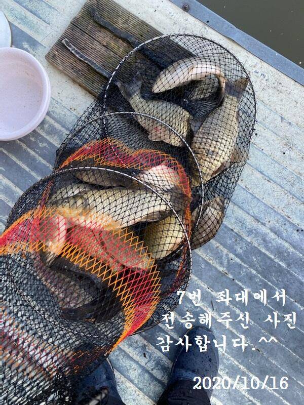 아산신수지 10월 셋째 주말 화보입니다 (유료터정보 - 유료터점주조황)