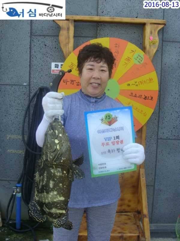 8월 13일 어심바다낚시터 조황사진 (유료터정보 - 유료터점주조황)