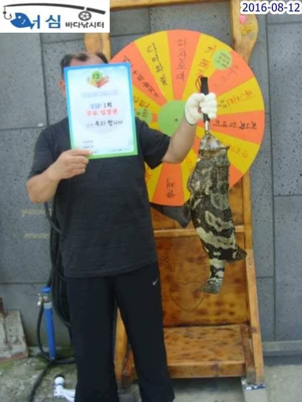 8월 12일 어심바다낚시터 조황사진 (유료터정보 - 유료터점주조황)