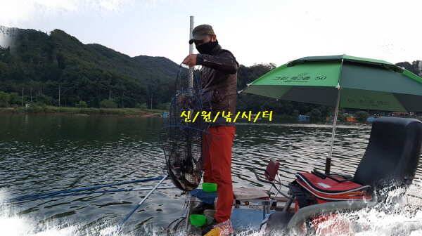 신원낚시터9월넷쨋주 48센티 토종대물 조황소식 (유료터정보 - 유료터점주조황)
