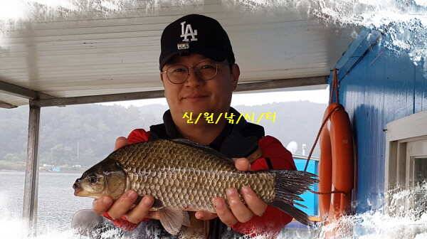 신원낚시터9월넷쨋주 48센티 토종대물 조황소식 (유료터정보 - 유료터점주조황)