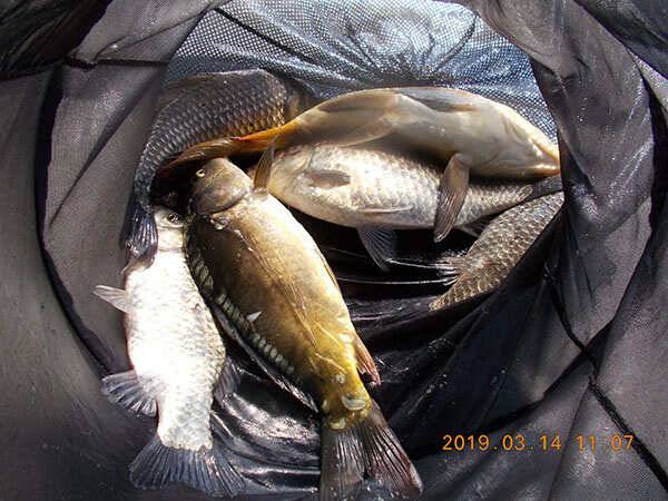 fish_pay_56163_072244_38705.jpg