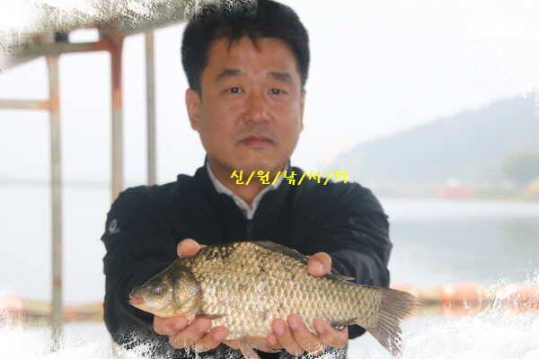 신원낚시터9월넷쨋주 48센티 토종대물 조황소식 (유료터정보 - 유료터점주조황)