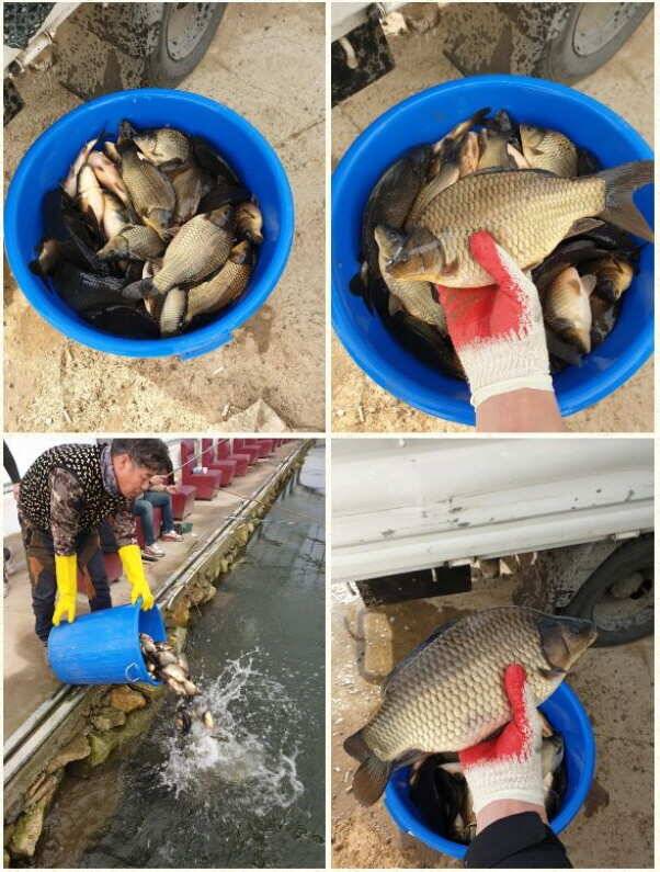 fish_pay_ef17d_080149_43653.jpg