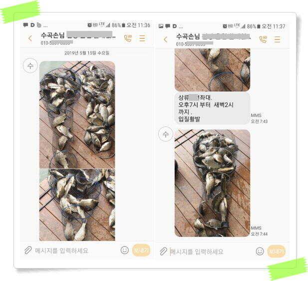 수곡낚시터 축양붕어 방류 주중5월15일 붕어 조황 잘 나와주고 있습니다 (유료터정보 - 유료터점주조황)