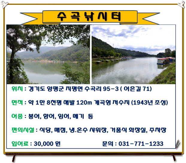 양평 수곡낚시터 주말및 일요일 조황안내 (유료터정보 - 유료터점주조황)