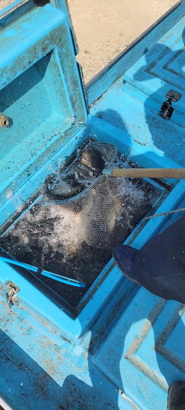 가을이 다가온 통삼에서 손맛 찌맛 즐기세요 (유료터정보 - 유료터점주조황)