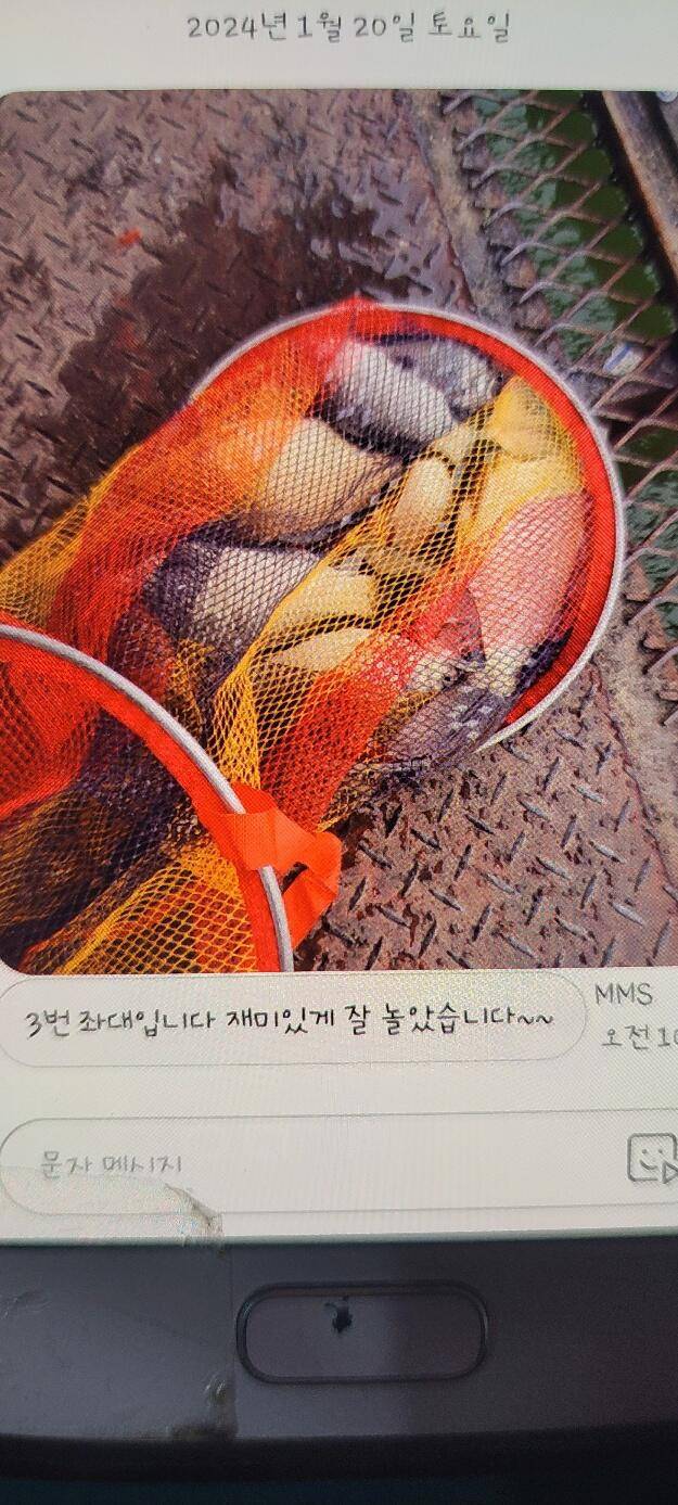 가까운 통삼 겨울 조황입니다 (유료터정보 - 유료터점주조황)