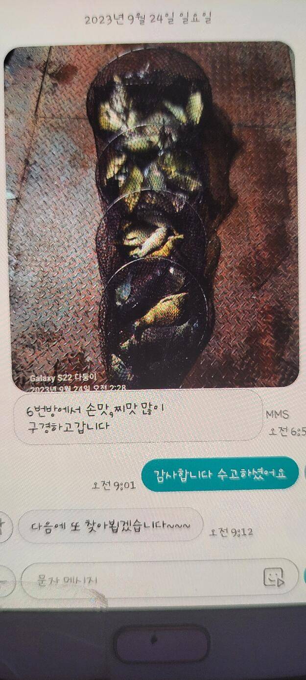 추석연휴 정상영업합니다 미리 예약하세요 (유료터정보 - 유료터점주조황)