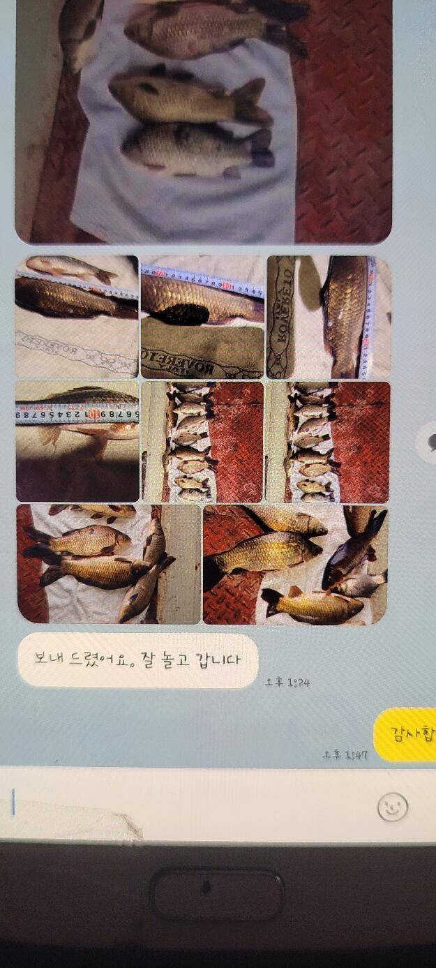 겨울철 물대포 영업 합니다 통삼낚시터 (유료터정보 - 유료터점주조황)