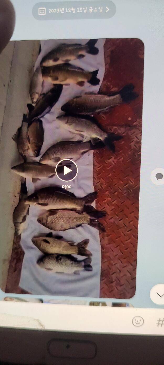 겨울철 물대포 영업 합니다 통삼낚시터 (유료터정보 - 유료터점주조황)