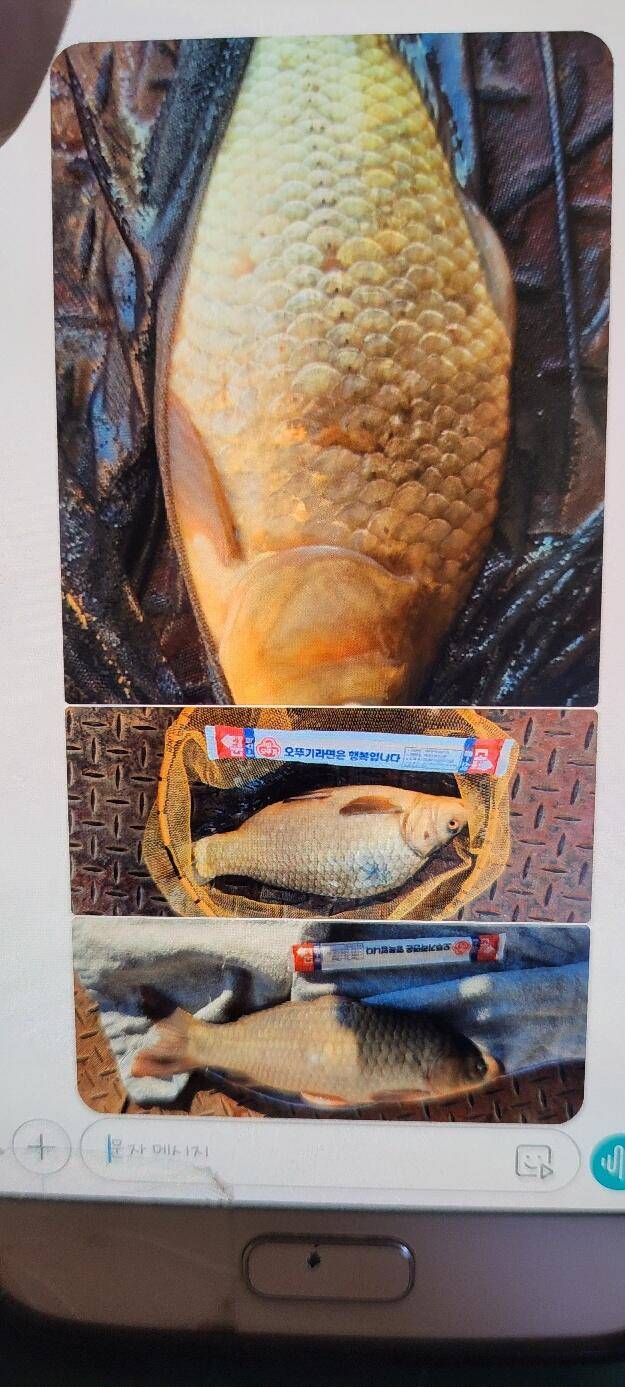 겨울이 다가온 통삼낚시터 겨울 할인 운영 (유료터정보 - 유료터점주조황)