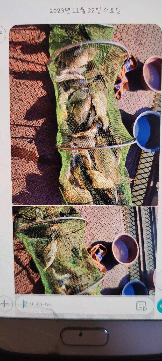 겨울이 다가온 통삼낚시터 겨울 할인 운영 (유료터정보 - 유료터점주조황)