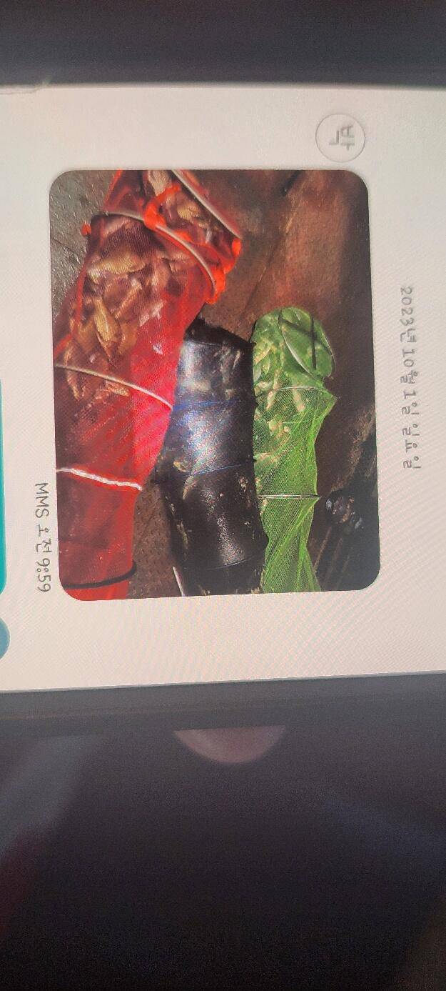 가을에 빠진 통삼 낚시터 입니다 (유료터정보 - 유료터점주조황)