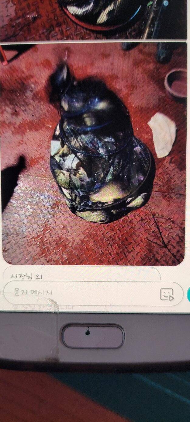 가을에 빠진 통삼 낚시터 입니다 (유료터정보 - 유료터점주조황)