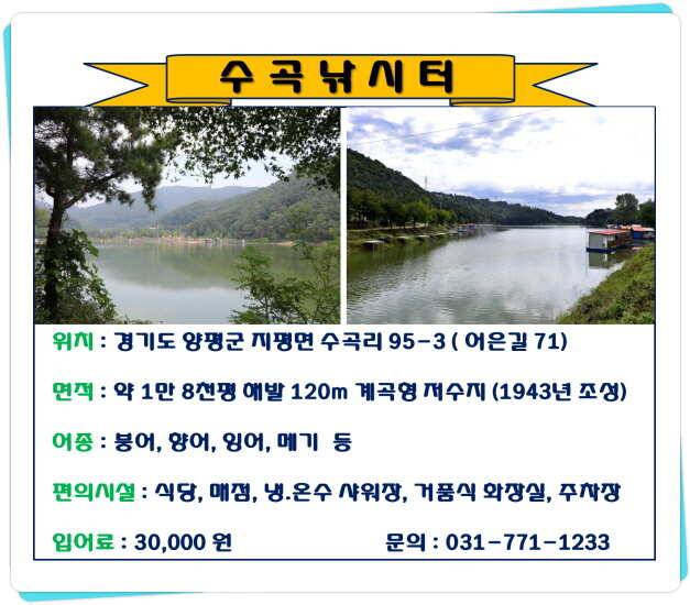 양평 수곡낚시터 주중조황 아주좋습니다 (유료터정보 - 유료터점주조황)