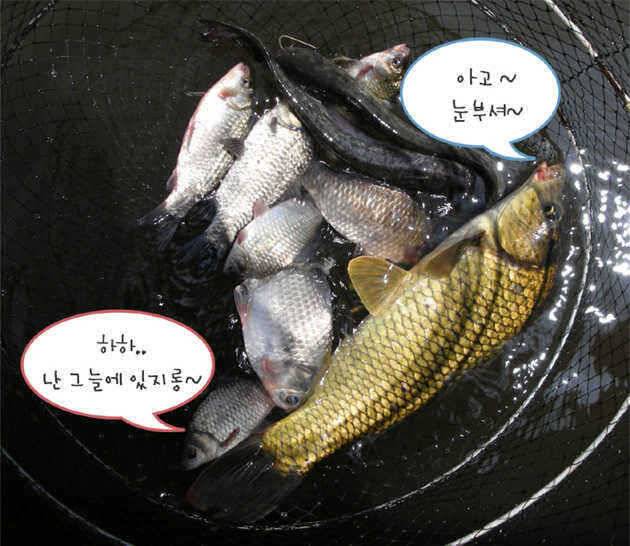 ■■ 삼합지 ■■ 父傳子傳 字典父傳 (유료터정보 - 유료터점주조황)